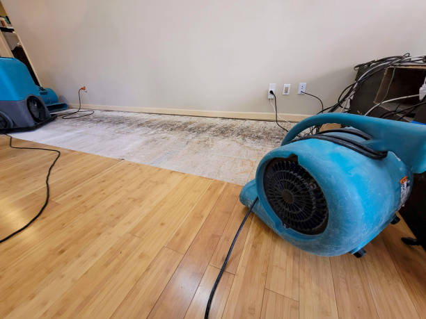 Professional Water Extraction technician working in Erie, KS